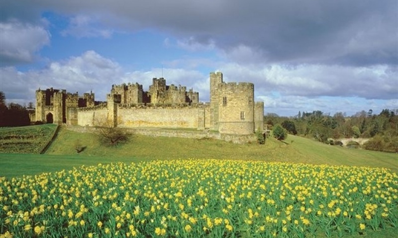 vn-large-Alnwick-Castle-Grounds.jpg
