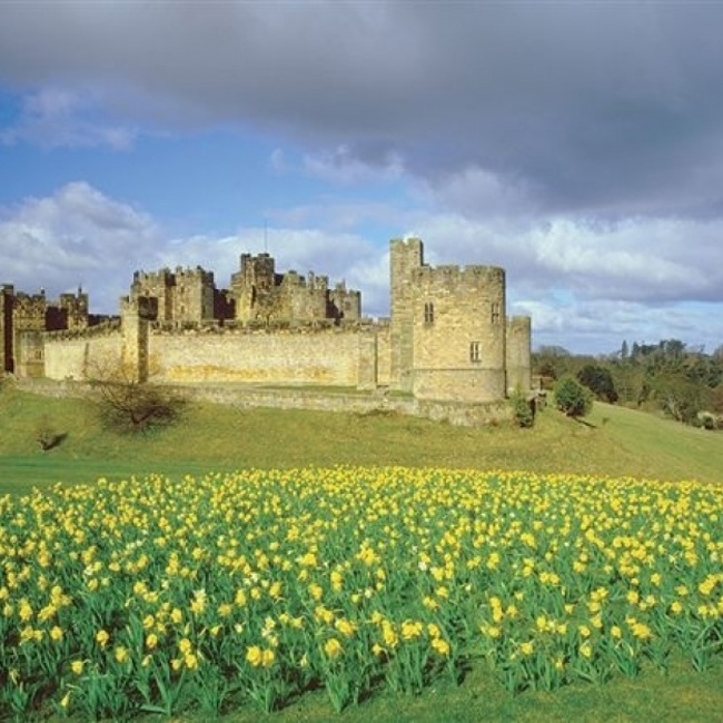 vn-large-Alnwick-Castle-Grounds.jpg
