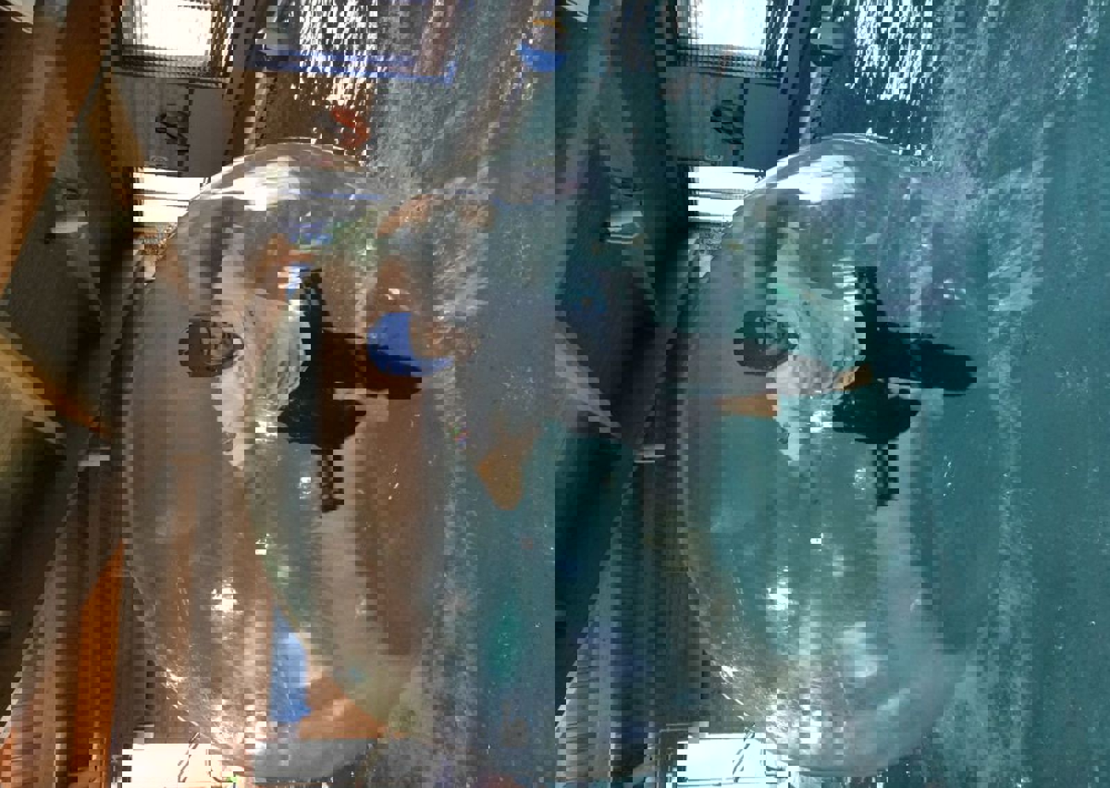 vn-large-water-walkerz