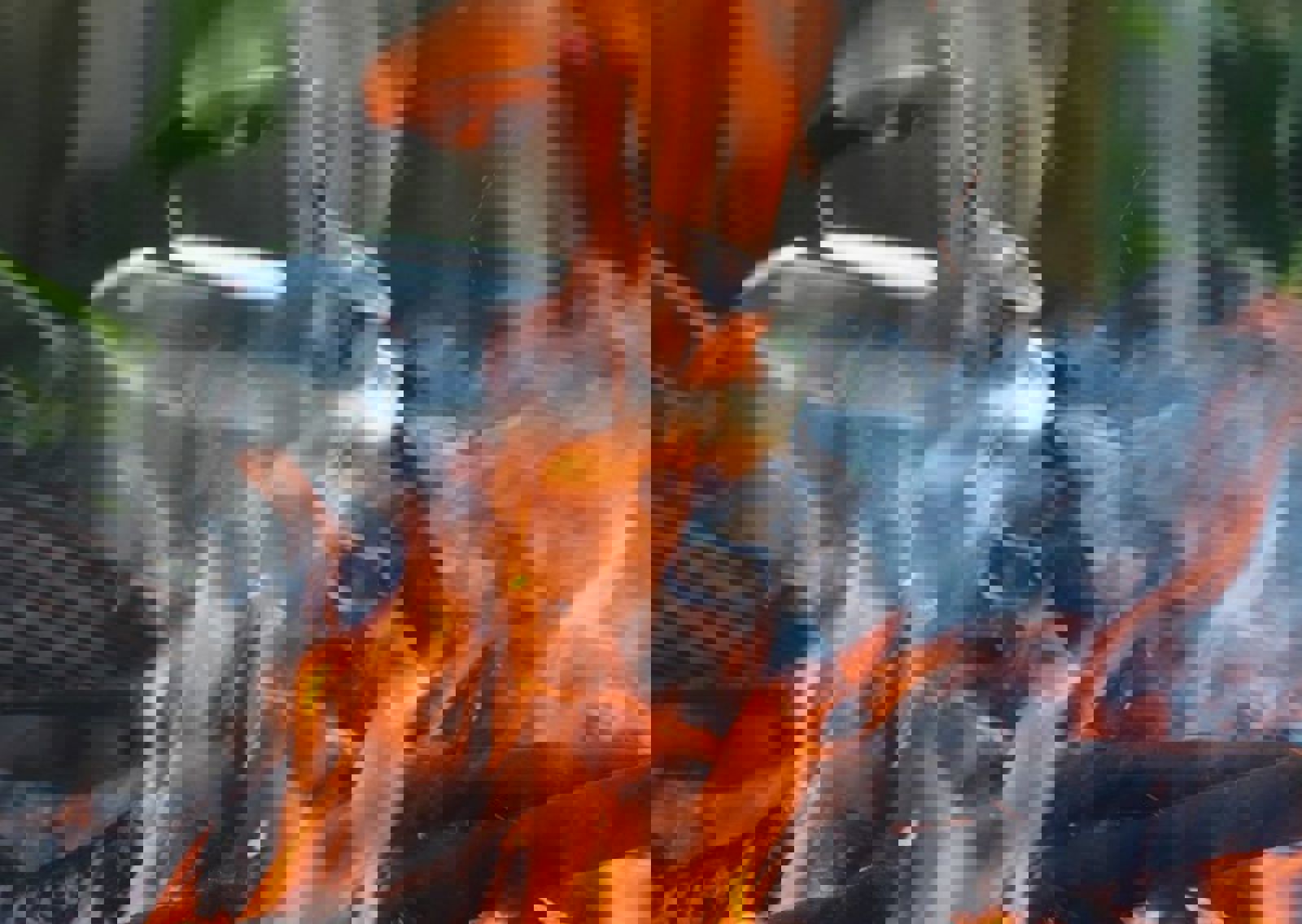 vn-large-Campfire-