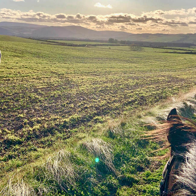 Activities-Horse-riding-HERO-@kimmerstonridingcentre