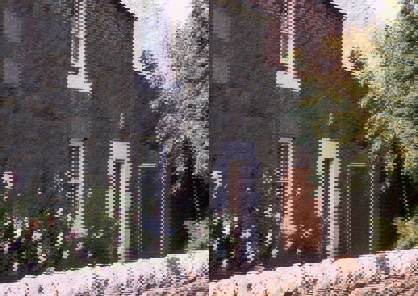 vn-large-Border-Cottage.jpg