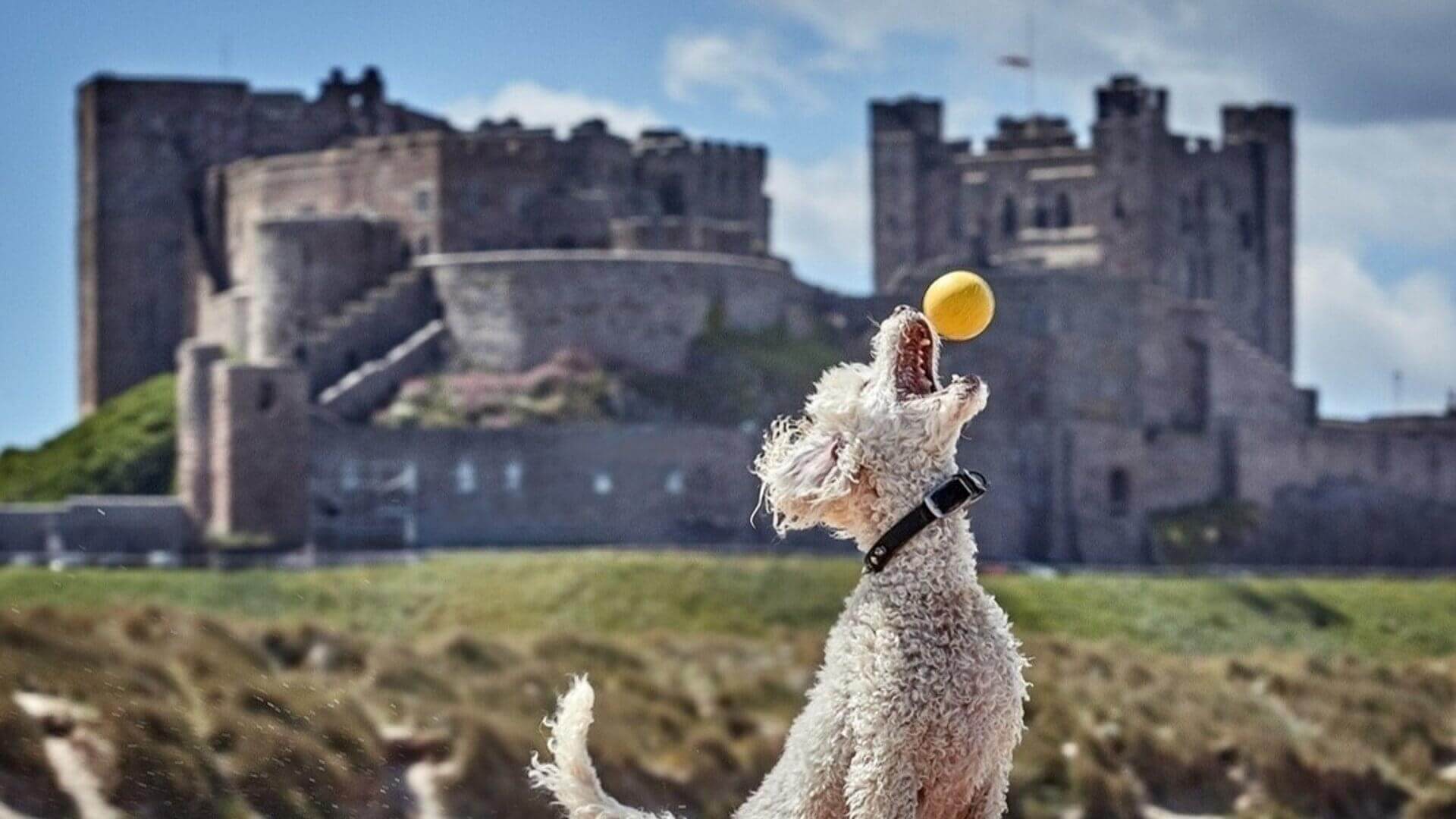budget-northumberland